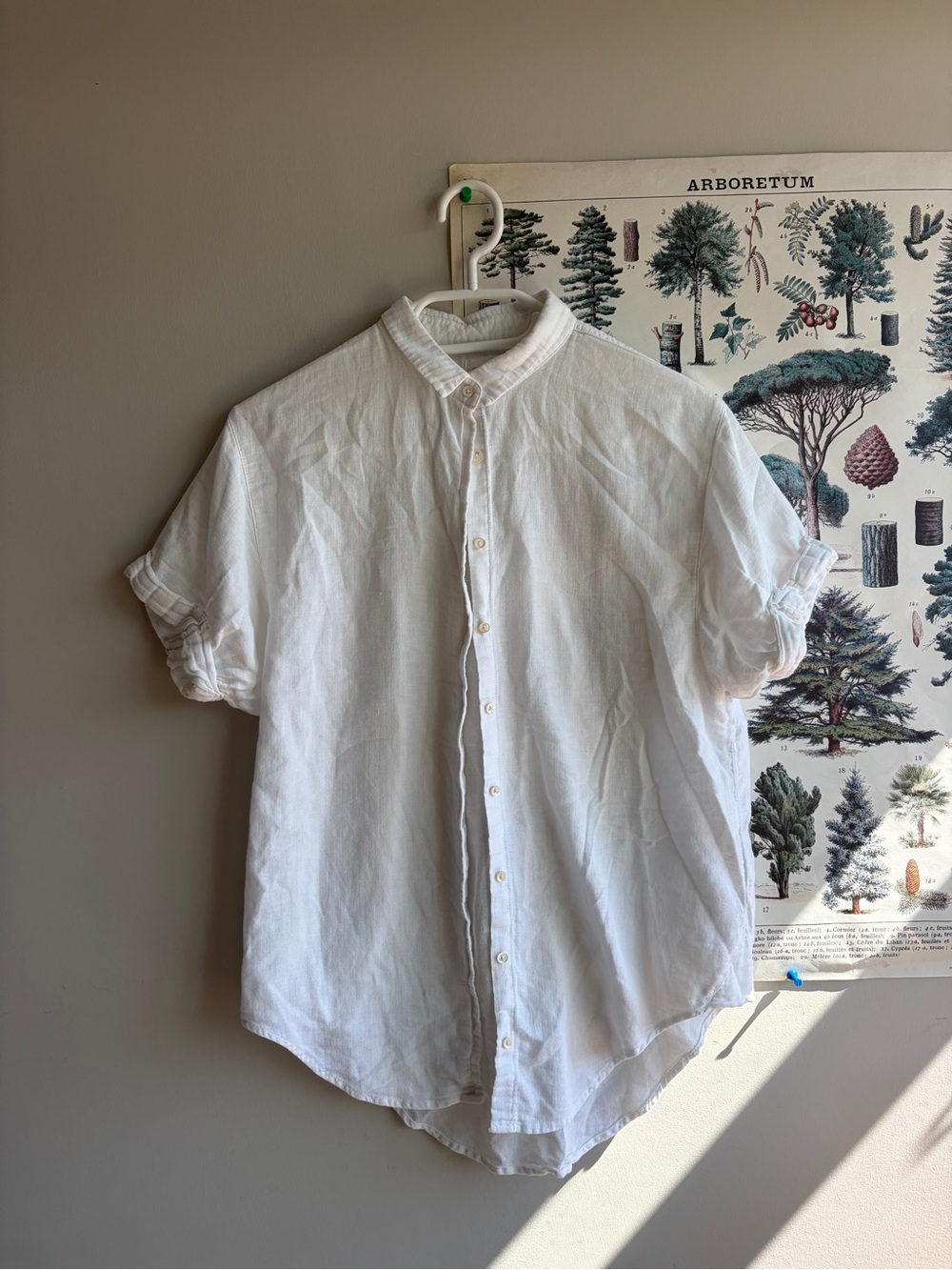 Community by Aritzia Short Sleeve Button down shirt XS